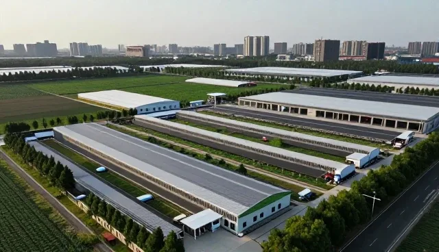 方案设计的适用条件与实际应用建议